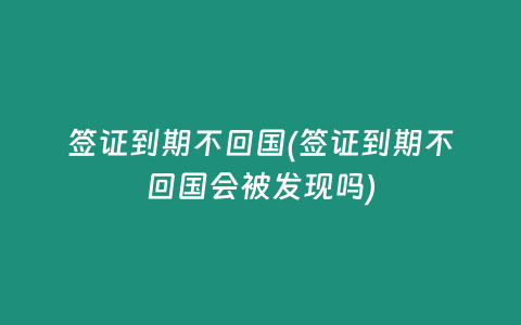 签证到期不回国(签证到期不回国会被发现吗)