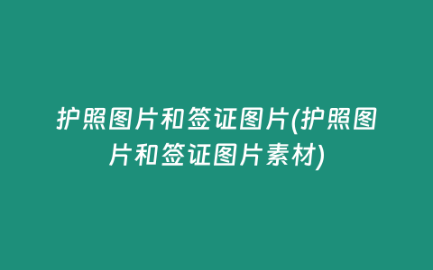 护照图片和签证图片(护照图片和签证图片素材)