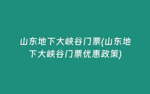 山东地下大峡谷门票(山东地下大峡谷门票优惠政策)