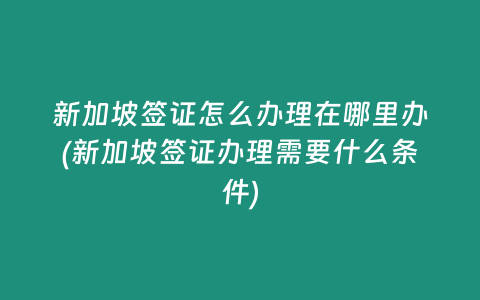 新加坡签证怎么办理在哪里办(新加坡签证办理需要什么条件)