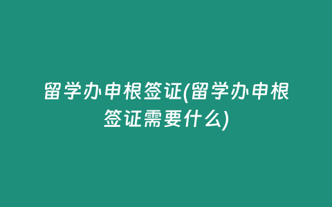 留学办申根签证(留学办申根签证需要什么)