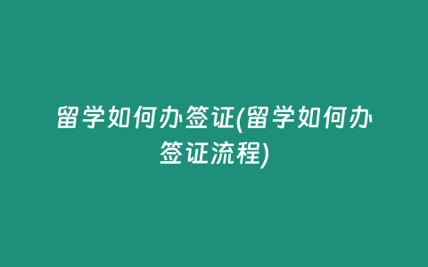 留学如何办签证(留学如何办签证流程)