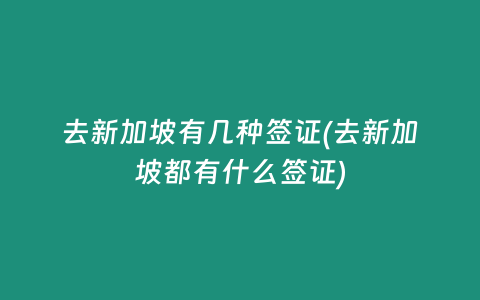 去新加坡有几种签证(去新加坡都有什么签证)