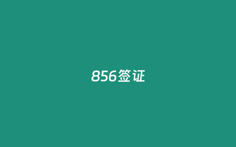 856签证