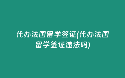 代办法国留学签证(代办法国留学签证违法吗)