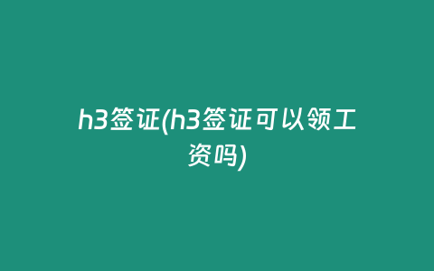 h3签证(h3签证可以领工资吗)