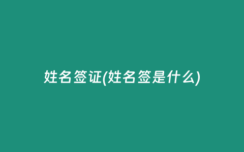 姓名签证(姓名签是什么)