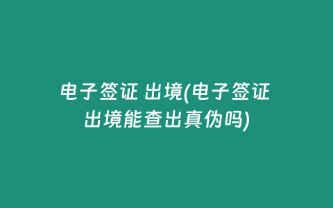 电子签证 出境(电子签证 出境能查出真伪吗)