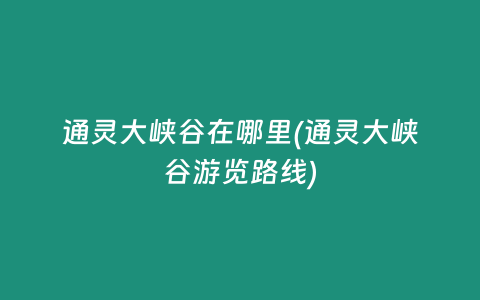 通灵大峡谷在哪里(通灵大峡谷游览路线)