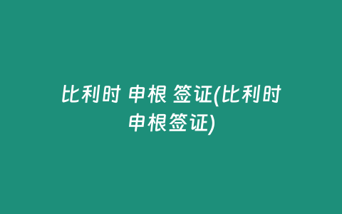 比利时 申根 签证(比利时申根签证)